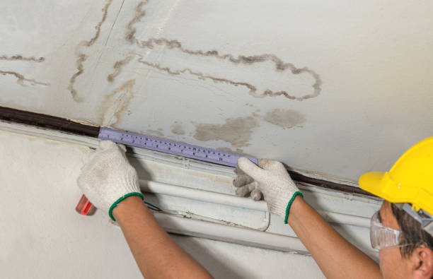 Reliable Mold Remediation contractor in Hillsboro, ND by Water Damage Irwin